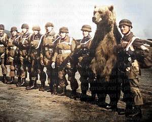 Wojtek in formation - colorized